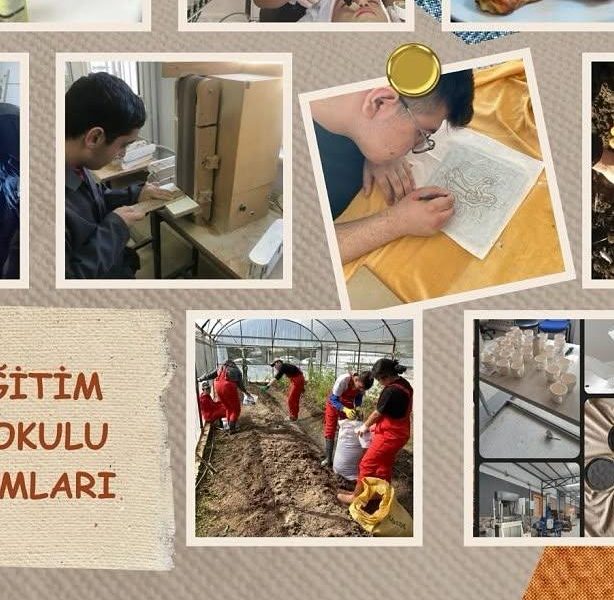 Özel Eğitim Meslek Okulları ve Sınıflarında İş Eğitimi ve Meslek Ahlakı Dersi Güncellendi