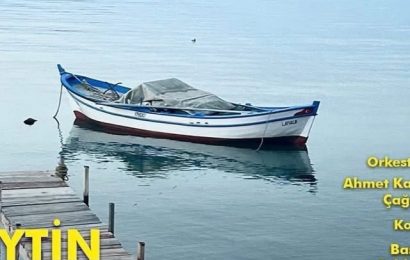 Zeytin Çekirdekleri Kış Konseri