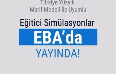 Eğitimde Yenilikçi Yaklaşımlar: Eğitici Simülasyonlar