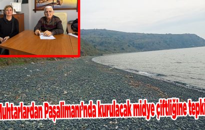 Muhtarlardan Paşalimanı’nda Planlanan Midye Çiftliğine Tepki
