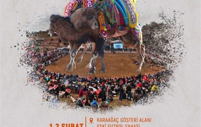 Gömeç Belediyesi, Karaağaç Folklorik Deve Gösterisi Düzenliyor