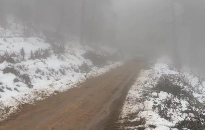 Orman Bölge Müdürlüğü, Yaban Hayvanlarına Kış Döneminde Yardım Etmeye Devam Ediyor