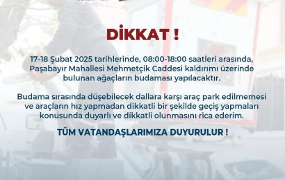 Bandırma Belediyesi’nden Mehmetçik Caddesi’nde Ağaç Budama Çalışmaları