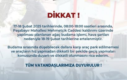 Bandırma’da Ağaç Budama Çalışmaları Ertelendi