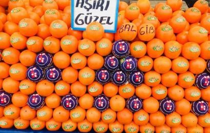 Gönen Pazarı: Salı Günleri Bereketli Alışveriş