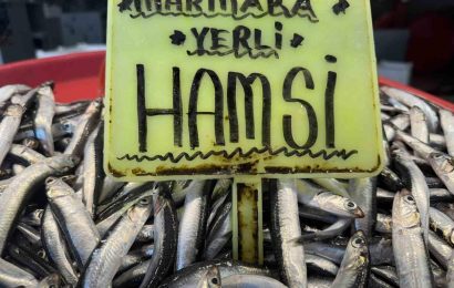 Marmara’da Kar Yağışı Sonrası Balık Fiyatlarında Artış