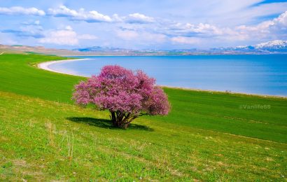İkinci Cemre Suya Düştü: Bahar Geldiğini Müjdeliyor