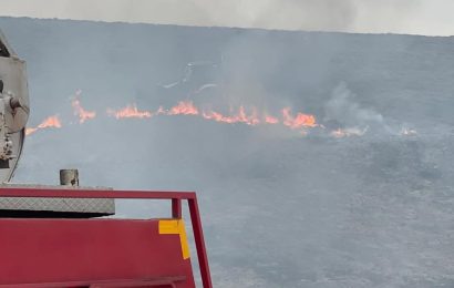 Avşa Adası’nda Çıkan Yangın Kontrol Altına Alındı