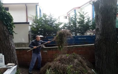 Adalar’da Çevre Temizliği ve Düzenleme Çalışmaları Sürüyor