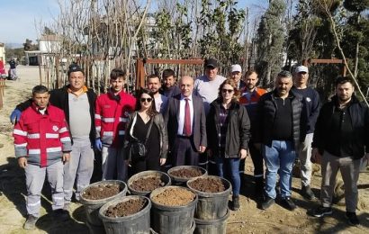 Bandırma Belediyesi’nden Fidan Hazırlığı: Daha Yeşil Bir Gelecek İçin