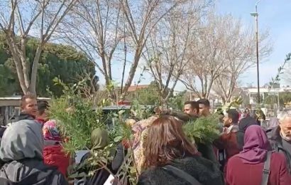 Gönen’de Vatandaşlara Fidan Dağıtıldı