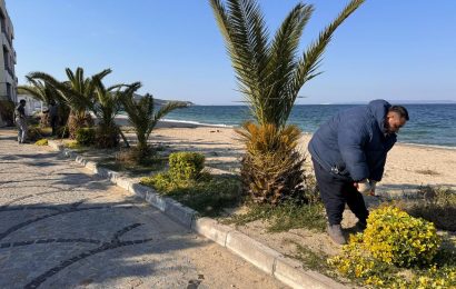 Marmara Adaları’nda Kapsamlı Temizlik ve Bakım Çalışmaları Sürüyor