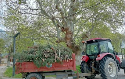 Marmara Adaları’nda Temizlik Çalışmaları Devam Ediyor