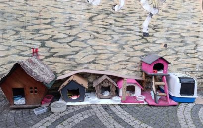 Balıkesir’de Minik Bir Hareket Şehri Cennete Dönüştürüyor