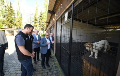 Balıkesir’de Sokak Hayvanlarına Yönelik Çalışmalar Yerinde İncelendi