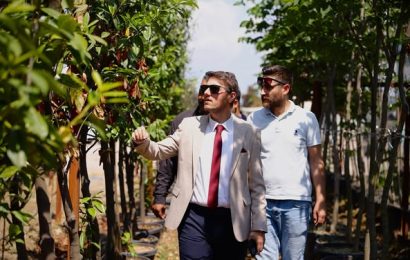 Bandırma Belediyesi Şantiyesi Ziyaretiyle Yeşil Alan Çalışmaları Denetlendi