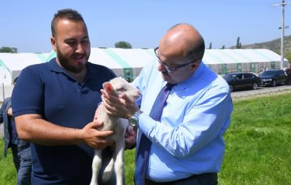 Balıkesir’de Kurulan Damızlık Üretim Çiftliği Vali Ustaoğlu Tarafından Ziyaret Edildi