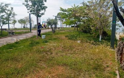 Marmara Adalar’da Yaşama Alanlarını İyileştirme Çalışmaları Sürüyor