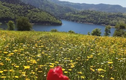 Gönen’in Doğal Güzellikleri Baraj Çevresinde Canlanıyor