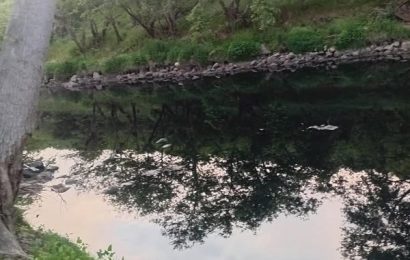 Gönen Çayı’nda Korkunç Kirlilik: Siyah Su Marmara’yı Tehdit Ediyor