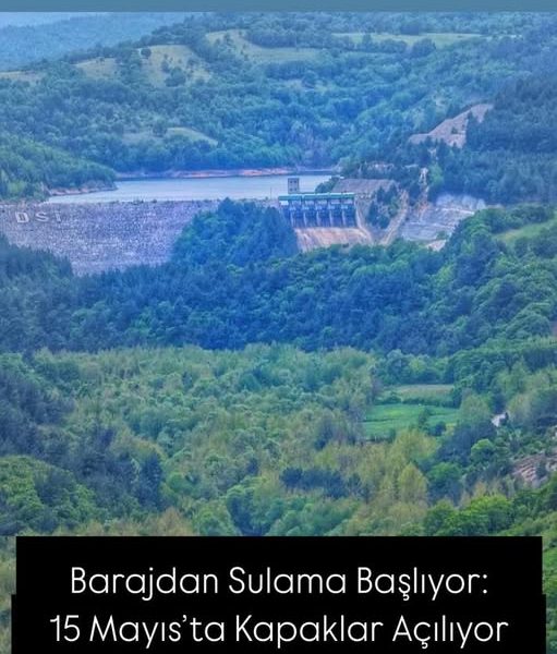 Gönen Barajı’ndan Çeltik Alanlarına Su Verileceği Açıklandı