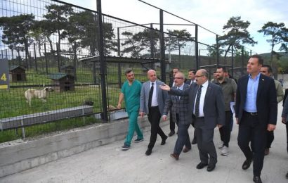 Balıkesir Valisi Ustaoğlu, İvrindi Sokak Hayvanları Bakım Evi’ni Ziyaret Etti