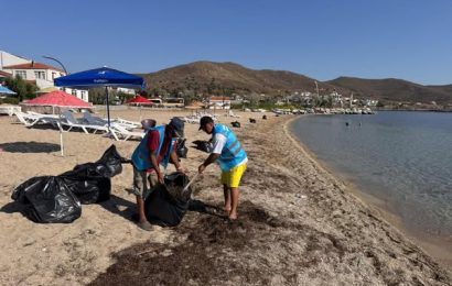 Marmara Adalar’da Çevre Temizliği ve Kent Estetiği Çalışmaları Devam Ediyor