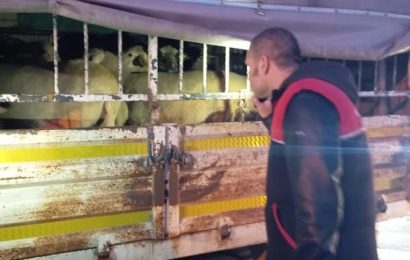 Gönen’de Kurban Bayramı Denetimleri Aralıksız Devam Ediyor