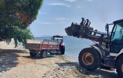 Marmara Adalar’da Temizlik ve Düzenleme Çalışmaları Devam Ediyor