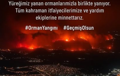 Bursa, Karabük ve Diyarbakır’da Yaşanan Yangınlarda Doğa ve Can Kayıpları