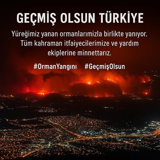 Bursa, Karabük ve Diyarbakır’da Yaşanan Yangınlarda Doğa ve Can Kayıpları Bursa, Karabük ve Diyarbakır’da Yaşanan Yangınlarda Doğa ve Can Kayıpları