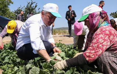 Sındırgı’da Kornişon Hıyar Üretimi ve İşleme Tesisleri Valinin Ziyaretine Açıldı