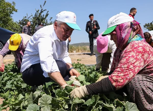Sındırgı’da Kornişon Hıyar Üretimi ve İşleme Tesisleri Valinin Ziyaretine Açıldı