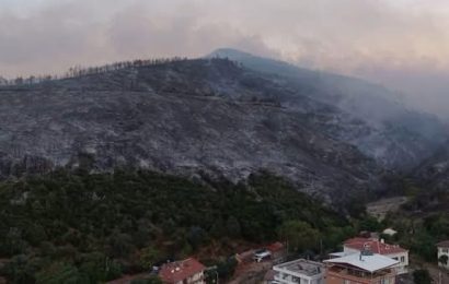 Bursa’da Orman Yangını Söndürme Çalışmaları Devam Ediyor, Tahliyeler Kalktı