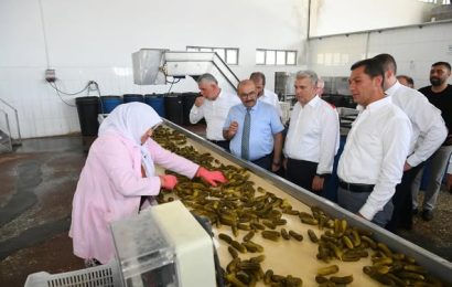 Balıkesir Valisi Turşu Fabrikasını Ziyaret Etti