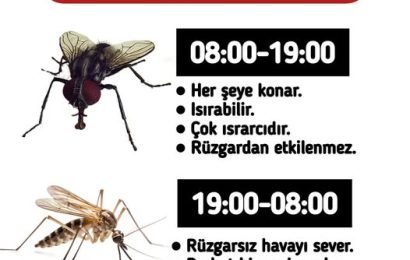 Karasinek ve Sivrisineklerin Faaliyet Saatleri Değişti