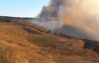 Bandırma OSB’de Arazi Yangını: Havadan ve Karadan Müdahale Devam Ediyor