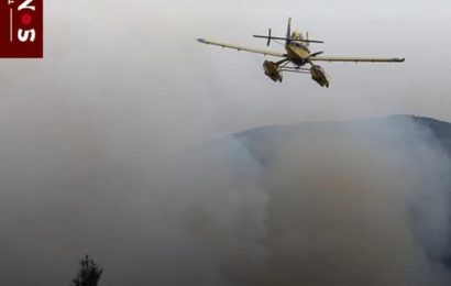 5 İlde Orman Yangınları Devam Ediyor: Karadan ve Havadan Müdahale Sürüyor