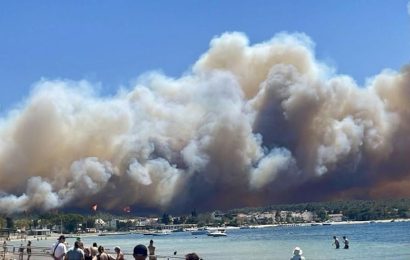 Türkiye’yi Sarsan Orman Yangınları: Can Kaybı ve Doğal Varlıkların Yok Oluşu