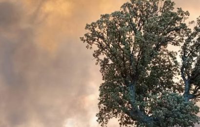 Çanakkale’de Yangın Felaketi: Ekipler Mücadele Veriyor