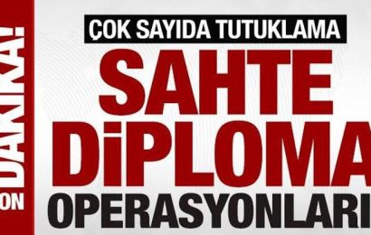 Türkiye’de Sahte Diploma ve Ehliyet Operasyonlarında Çok Sayıda Şüpheli Yakalandı