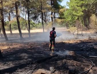 Balıkesir İtfaiyesi, Çanakkale Orman Yangınında Görev Aldı