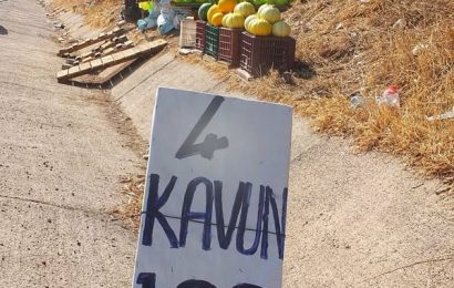 Gönen Kavunu Tezgahlarda: Eşsiz Lezzetiyle Müşterilerini Bekliyor