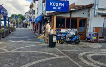 Marmara Adalar’da Çevre Temizliği ve Taş Döşeme Çalışmaları Sürüyor