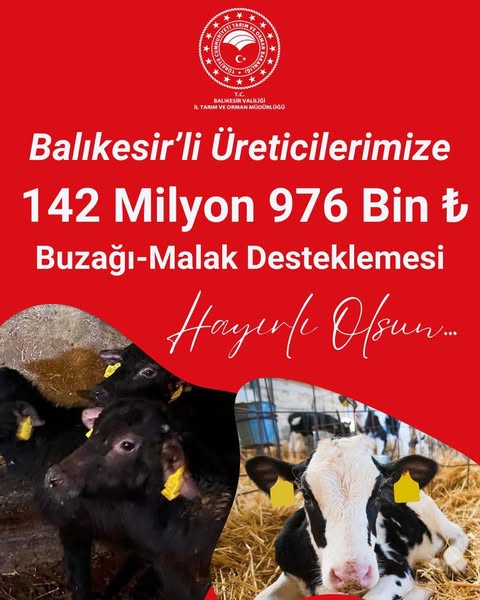 Çiftçilere Buzağı, Malak ve Süt Desteği Yatırıldı
