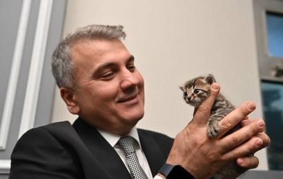 4 Ekim Dünya Hayvanları Koruma Günü’nde Sevgi ve Merhamet Mesajı