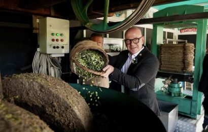 Ayvalık’ta 20. Uluslararası Zeytin Hasat Festivali Coşkusu