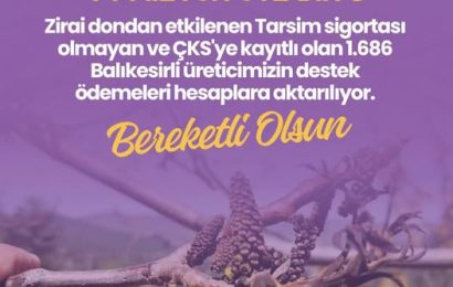 Balıkesir’de Zirai Don Mağduru Çiftçilere 44 Milyon TL Destek Ödemesi