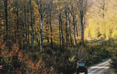 Gönen ve Söğüt Köyü’nde Sonbaharın Büyüleyici Manzaraları