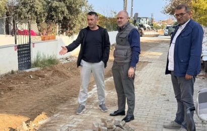 Marmara Adalar Belediye Başkanı Aydın Dinçer, Avşa’da Yeşil Alan Çalışmalarını Yerinde İnceledi